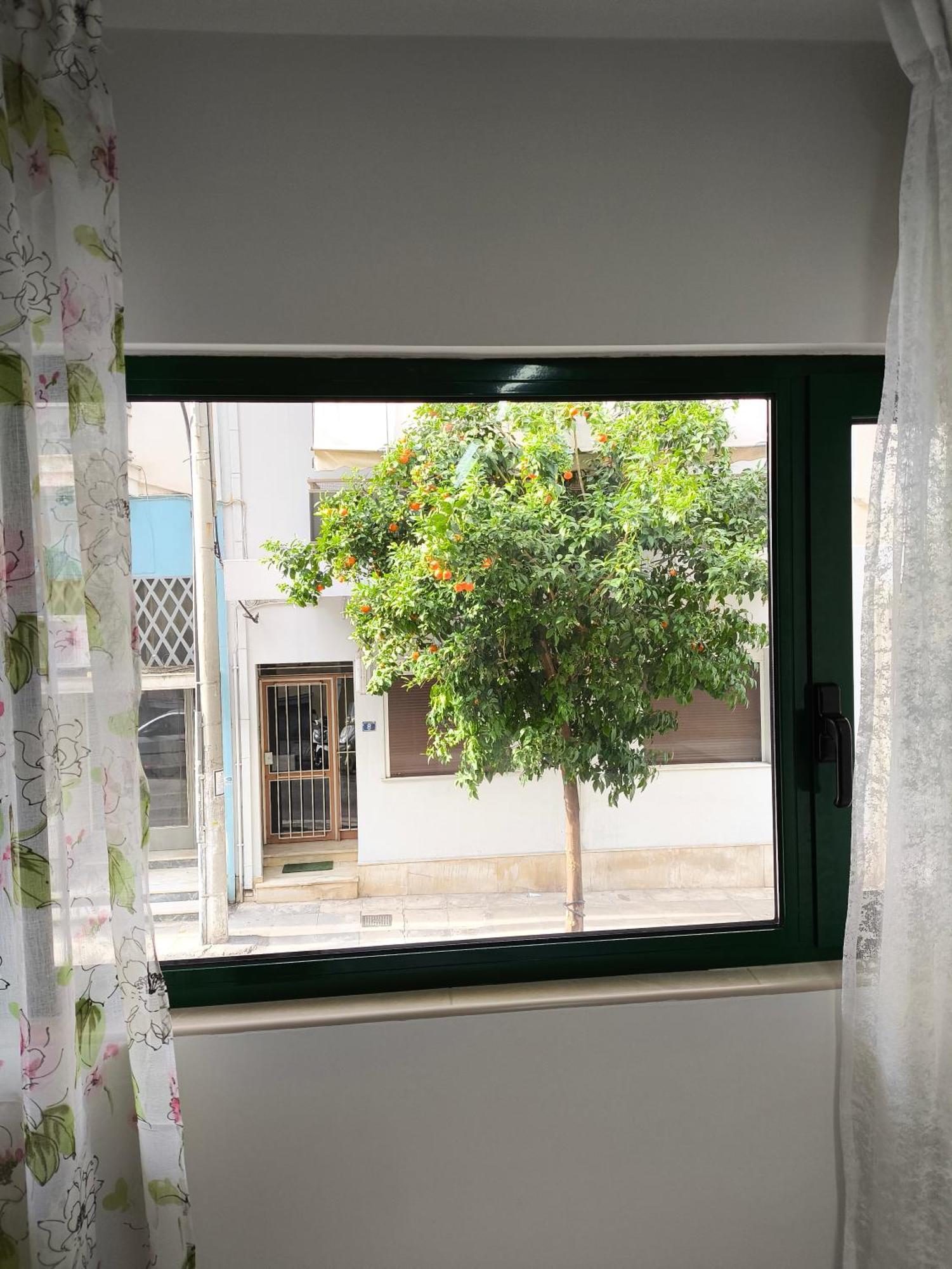 Green Home เอเธนส์ ภายนอก รูปภาพ